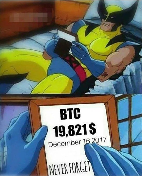 Meme Never Forget - Bitcoin