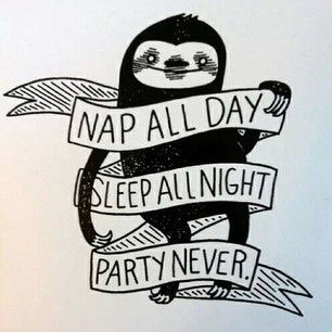 Meme Nap all day - Sleep all night - Party never