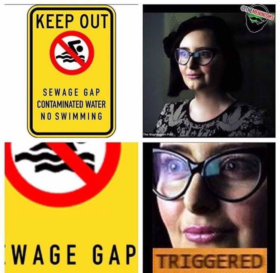 Meme Wage gap - Triggered
