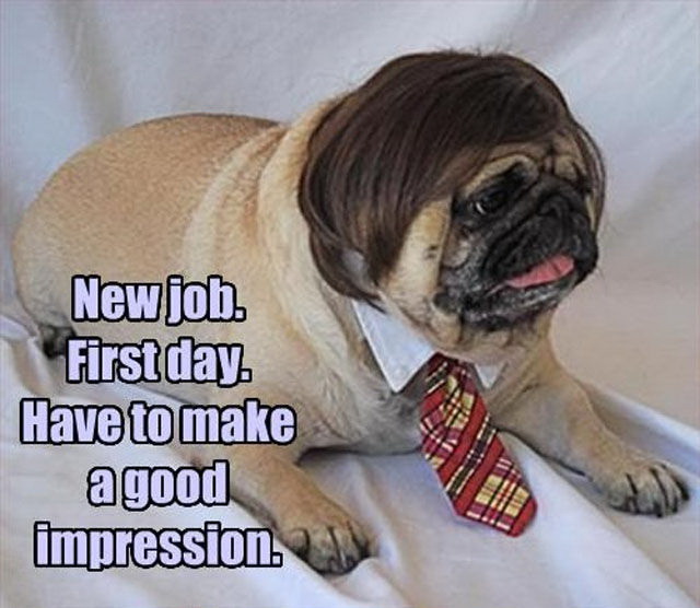 Meme New job - First day - Have to make a good impression