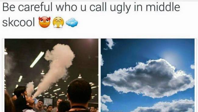 Be careful who you call ugly in middle school
