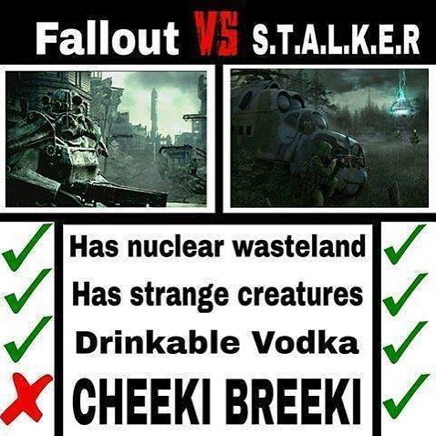 Meme Fallout vs STALKER