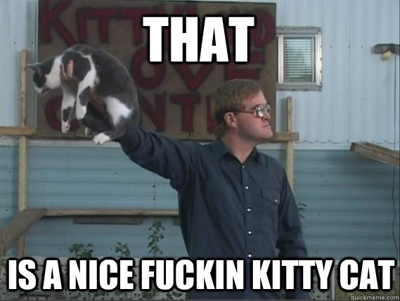 Meme That is a nice fucking kitty cat