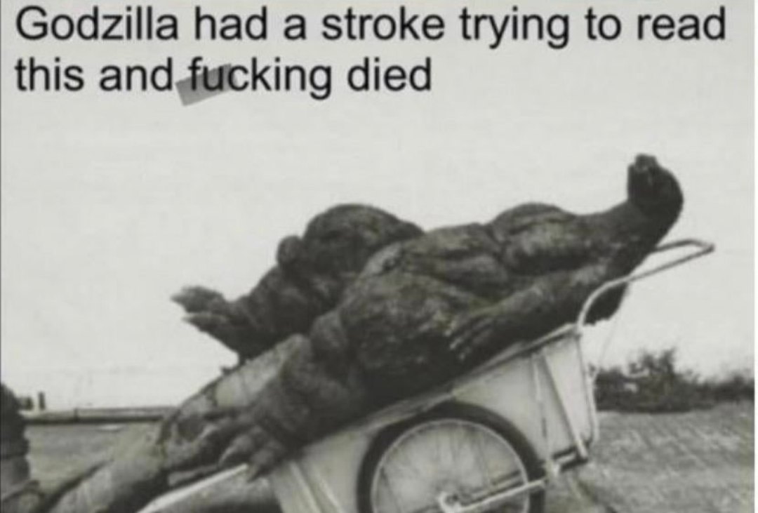 Meme Godzilla had a storke trying to read this and fucking died