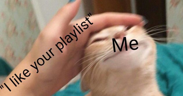 Meme I like your playlist - Me