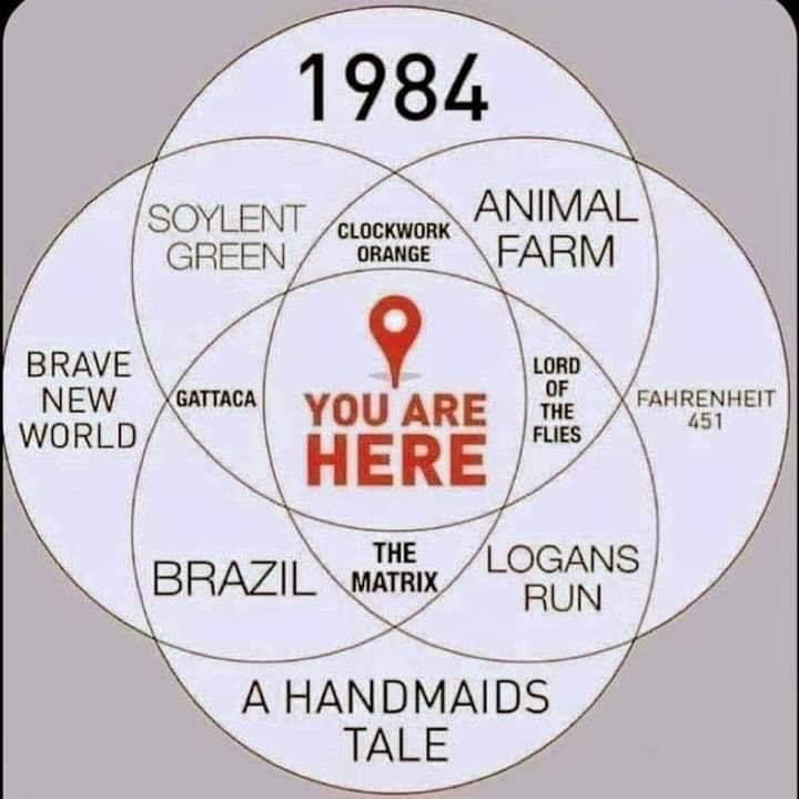 Meme You are here