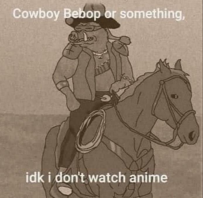 Meme Cowboy Bebop or something idk i don't watch anime