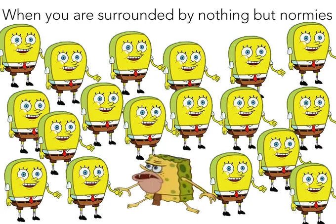 Meme When you are surrounded by nothing but normies