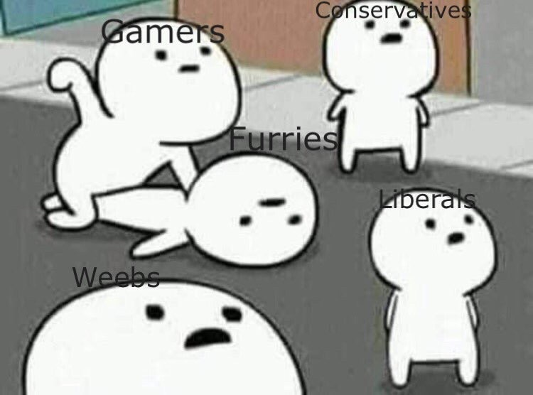 Meme Gamers - Conservatives - Weebs - Furries - Liberals - Wow