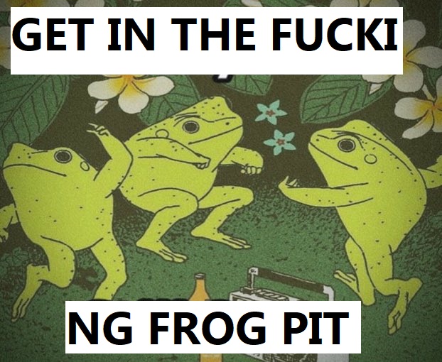 Meme Get in the fucking frog pit