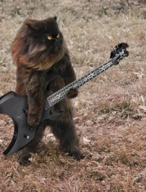 Meme Heavy Metal Cat