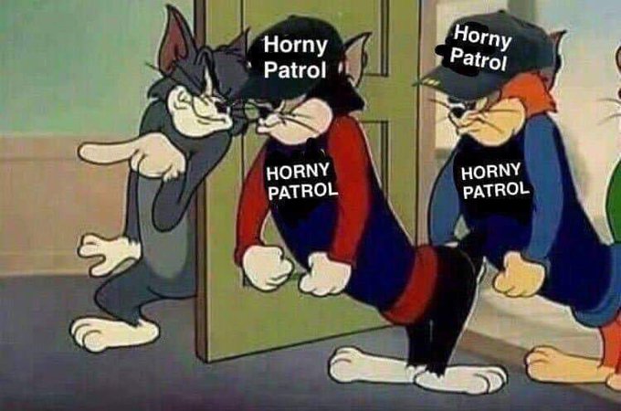 Meme Horny Patrol