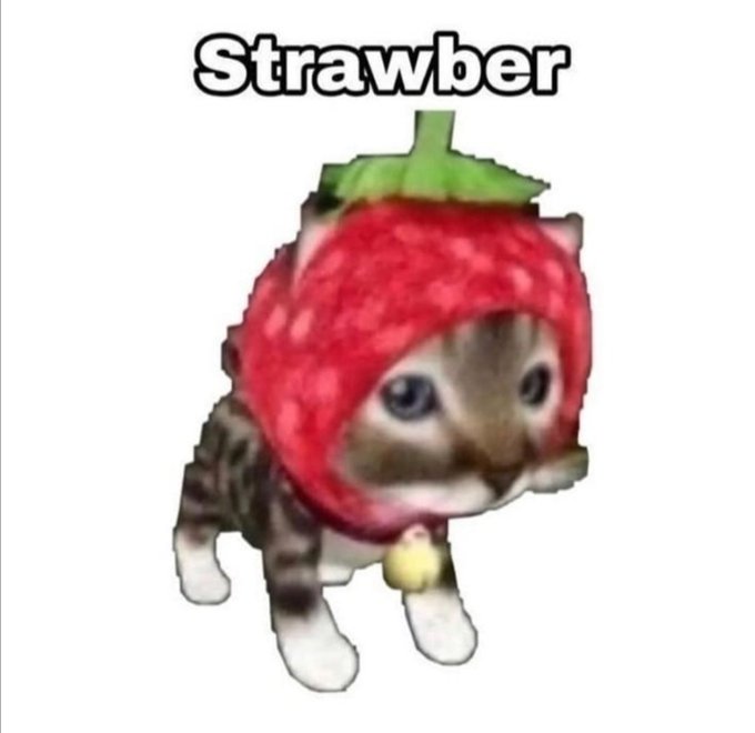 Meme Strawber