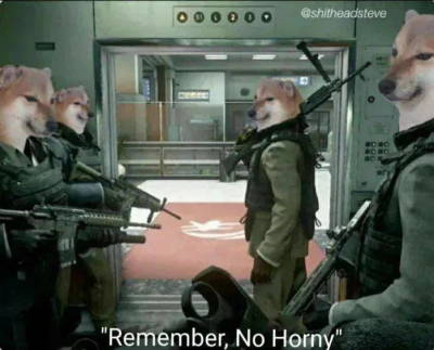 Meme Remember no horny