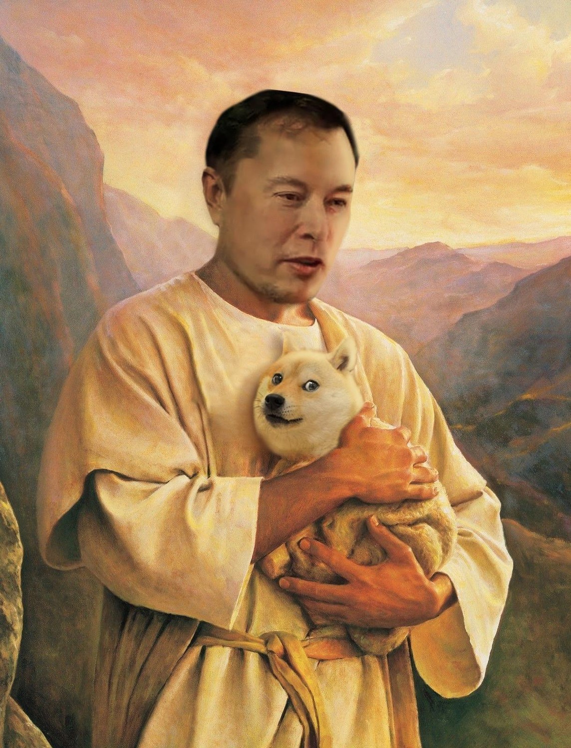 Meme Elon Musk with Doge