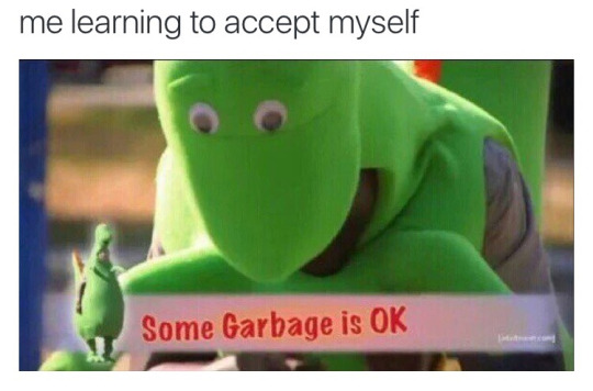 Meme Some garbage is OK