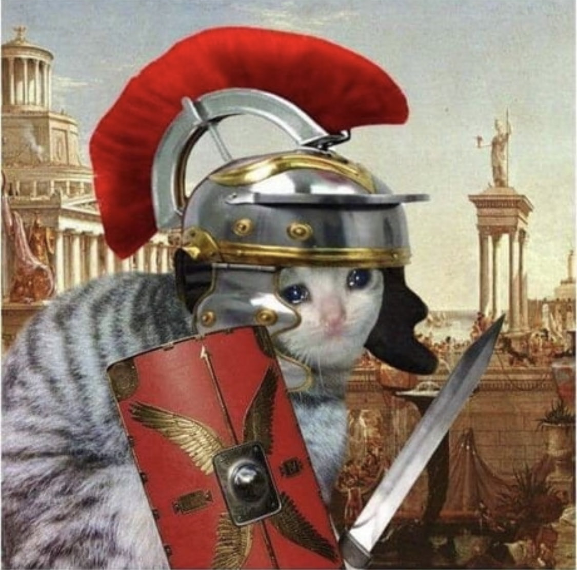 Meme Sad Roman Cat