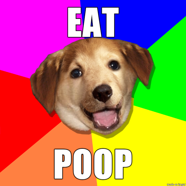 Meme Eat Poop - Dog Advice