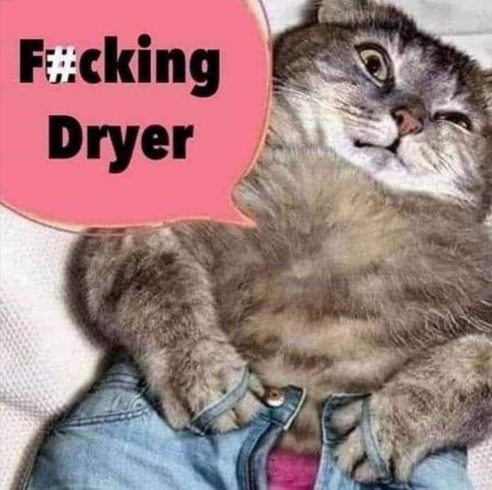 Meme Fucking Dryer