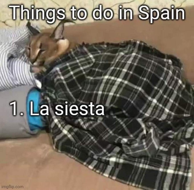 Meme Things to do in Spain - La Siesta