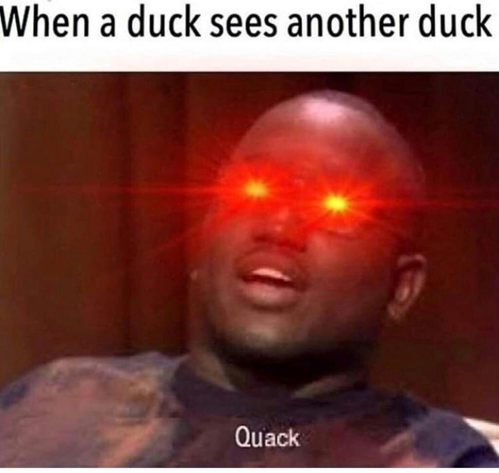 Meme Quack