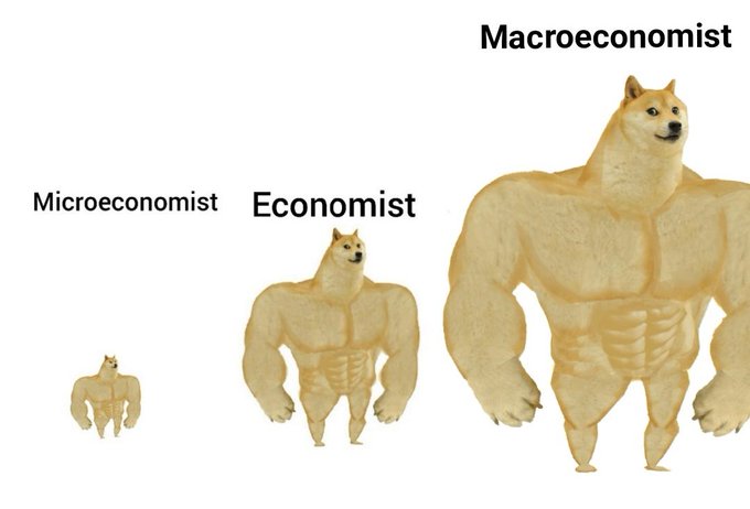 Meme Macroeconomist - Doge