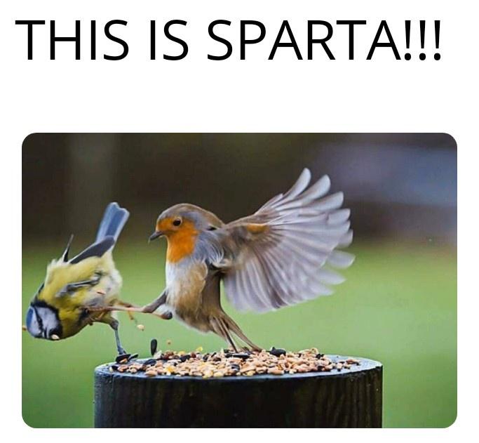 Meme This is Sparta