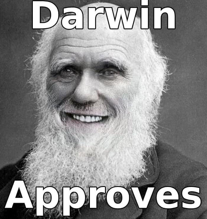 Meme Darwin Approves