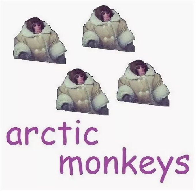 Meme Arctic Monkeys