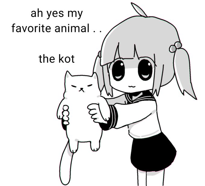 Meme My favorite animal - The kot