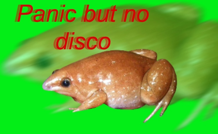 Meme Panic but no disco