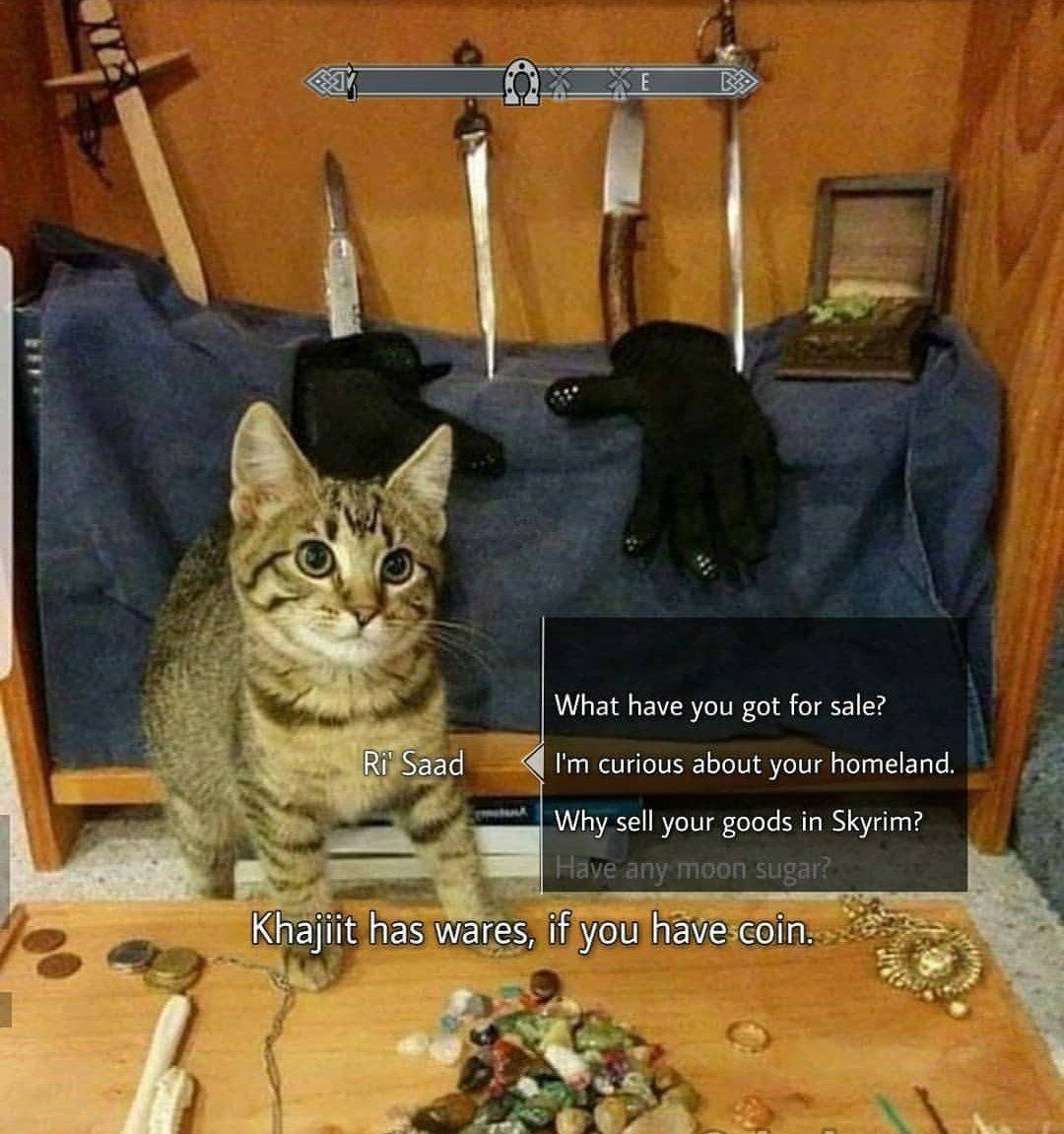 Meme Khajiit has wares, if you have coin