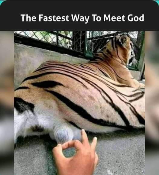 Meme The fastest way to meet god