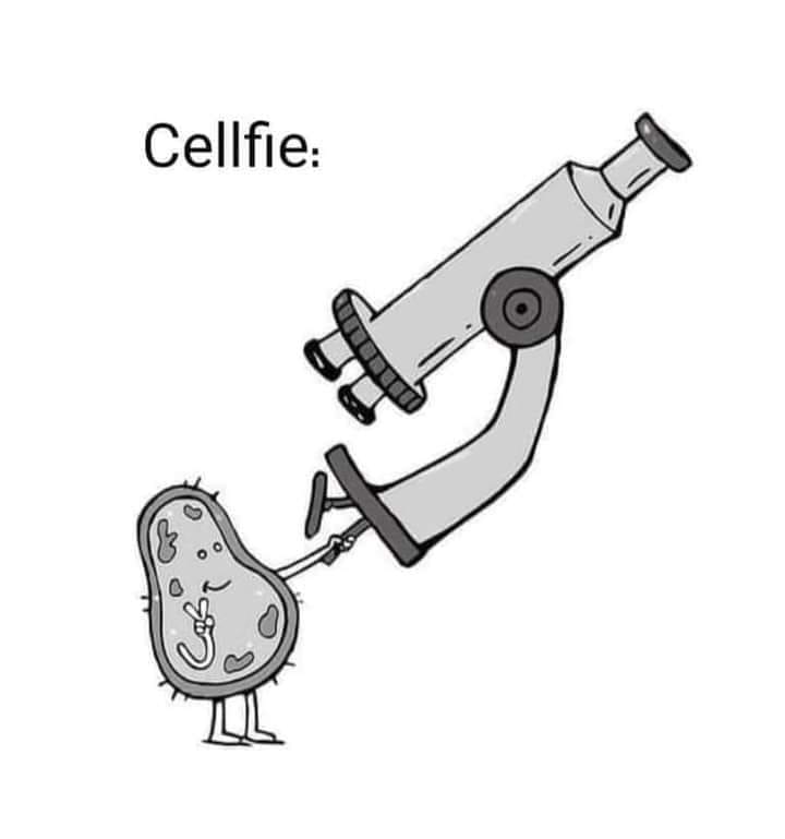 Meme Cellfie