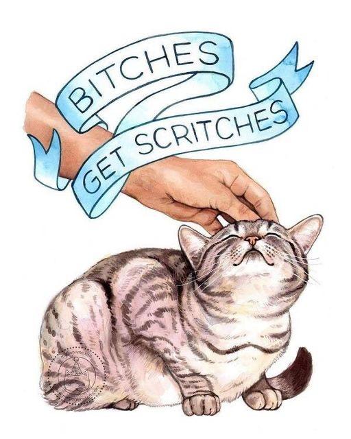 Meme Bitches get scritches