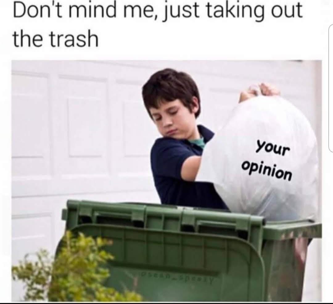 Meme Don't mind me just taking out the trash - Your opinion