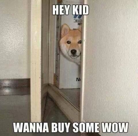 Meme Hey kid wanna buy some wow? - Doge