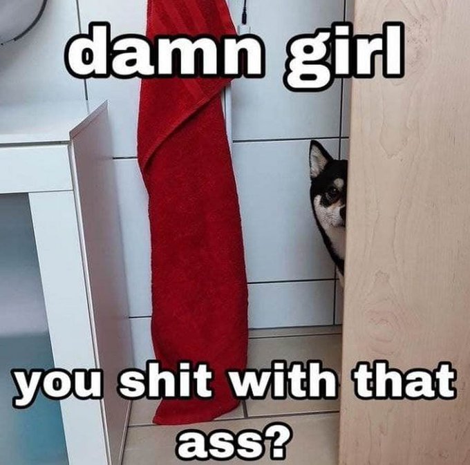 Meme Damn girl you shit with that ass?