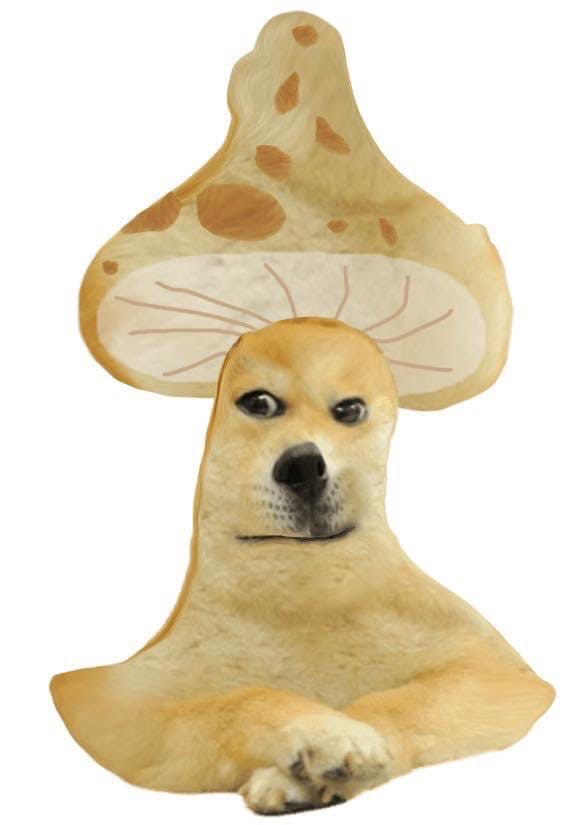 Meme Shroomer Doge