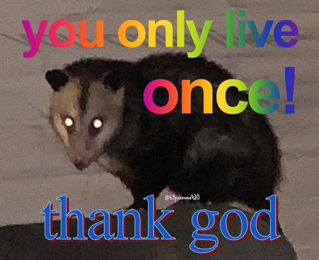 Meme You only live once - Thank god