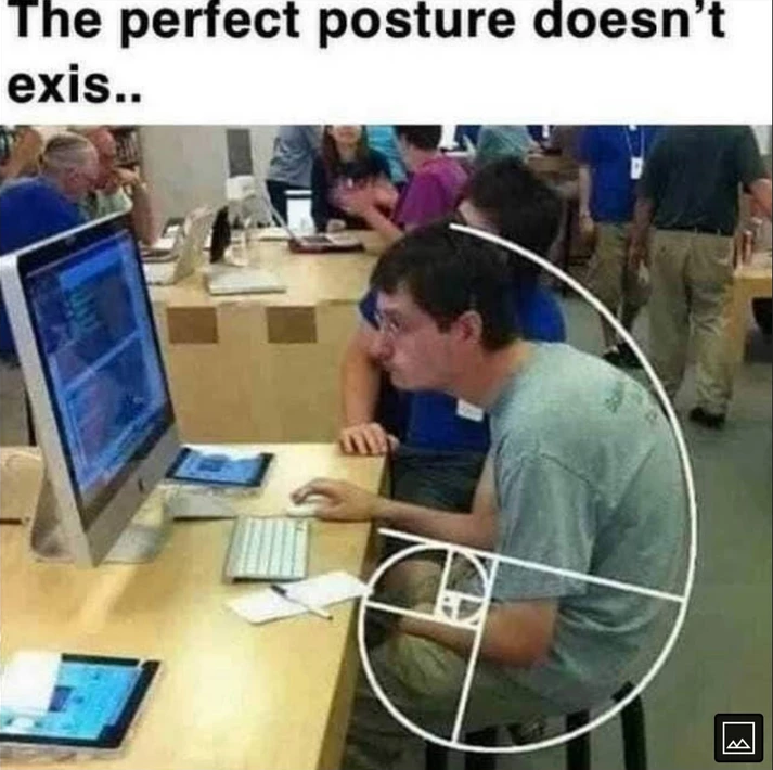 Meme Perfect posture doesn't exist