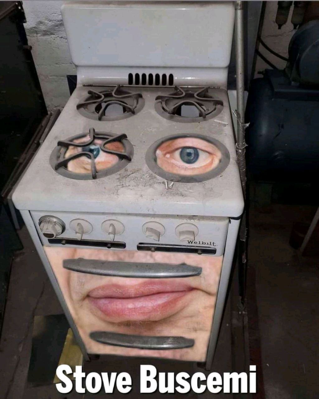 Meme Stove Buscemi