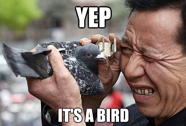 Meme Yep it's a bird