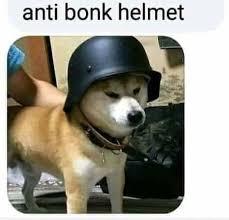 Meme Anti bonk helmet