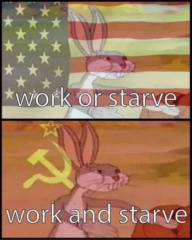 Meme Work or starve - Work and starve