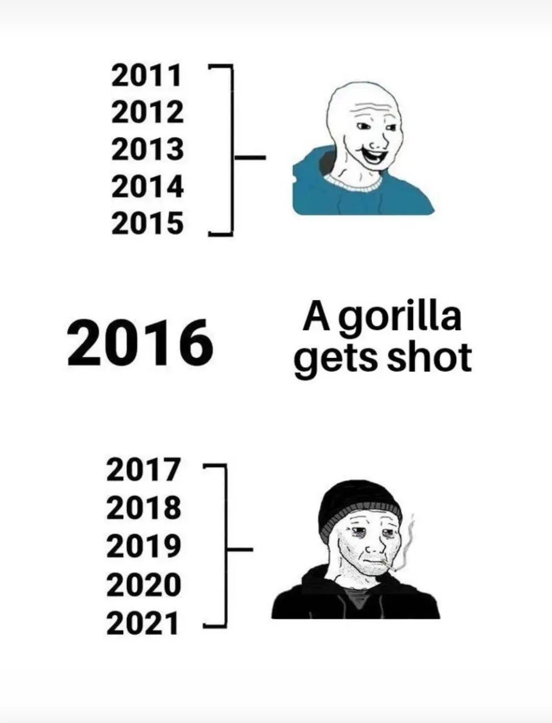 Meme Gorilla gets shot