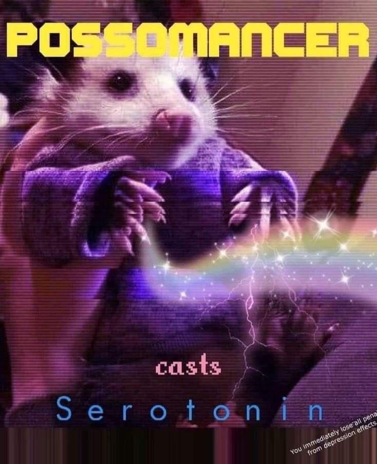 Meme Possomancer