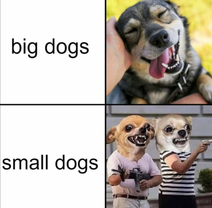 Meme Big dogs - Small dogs