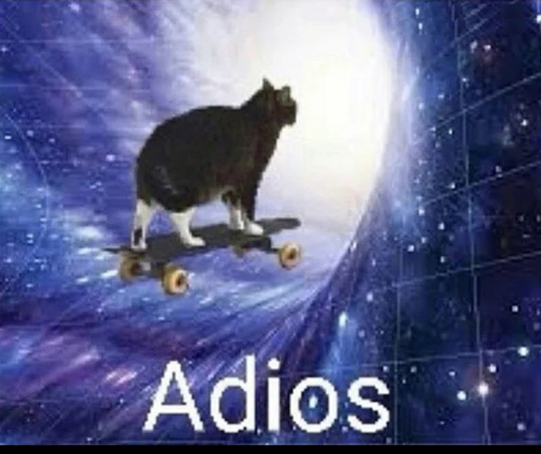 Meme Adios - Space Cat