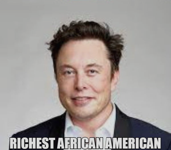 Meme Richest African American - Elon Musk